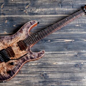 S-Modern custom 1 Slesarenko Guitars