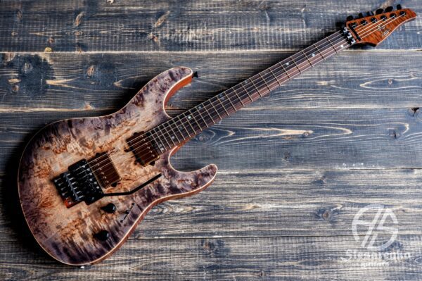 S-Modern custom 1 Slesarenko Guitars