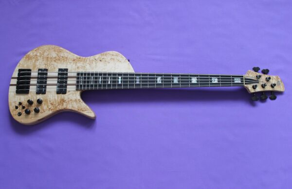 Fodera style 1 custom Slesarenko Guitars