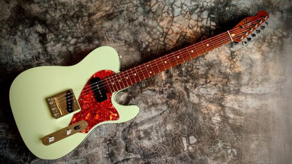 Fender Telecaster custom 9 Slesarenko Guitars