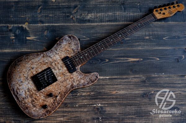 Telecaster custom 5 Slesarenko Guitars