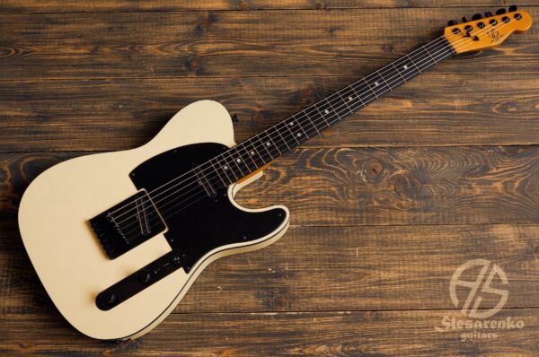 Telecaster custom 14 Slesarenko Guitars